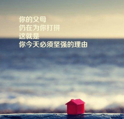 句子,勵志,能量,大全
