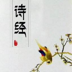 詩經中文雅的正能量的句子
