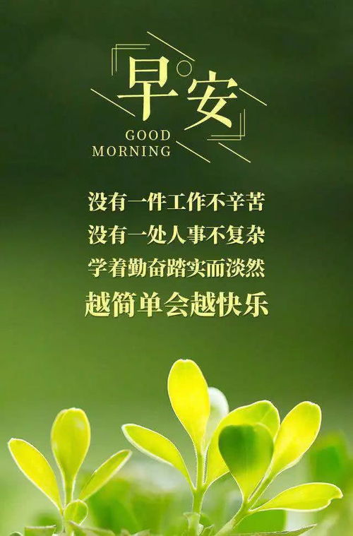 早安賣(mài)花正能量句子
