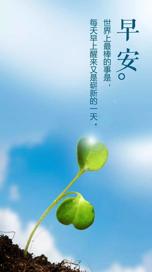 早安的句子和正能量