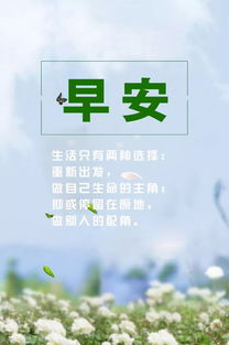 正能量勵(lì)志上進(jìn)的句子