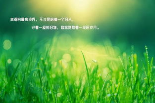 句子,勵志,能量,陽(yáng)光