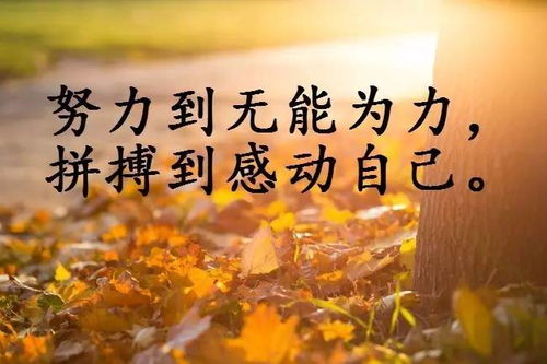 正能量句子勵志早安語(yǔ)錄,正能量句子勵志短句子早安心語(yǔ),勵志的早安語(yǔ)正能量句子