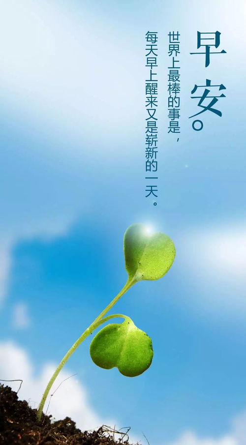 正能量句子勵志短句子八個(gè)字,正能量句子勵志短句子朋友圈,正能量句子勵志短句子心靈雞湯
