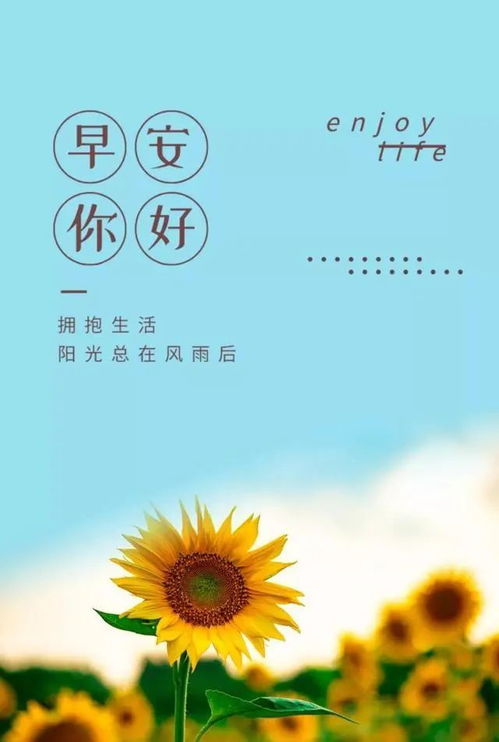美好一天正能量的句子,美好正能量的句子,簡(jiǎn)單美好的正能量句子