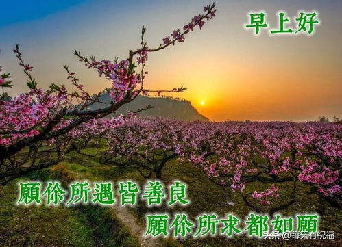早安,句子,能量,陽光