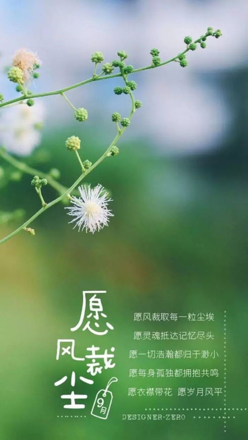 女人努力奮斗的正能量句子說(shuō)說(shuō)心情短語(yǔ)