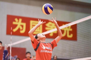 排球,句子,運動員,能量