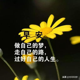 早安,句子,勵志,朋友圈