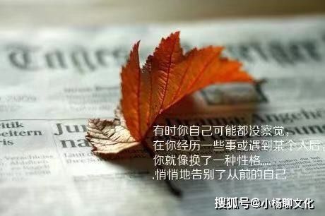 句子,個性簽名,能量,陽光