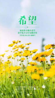 早安賺錢(qián)正能量簡(jiǎn)單一句話(huà),早安努力賺錢(qián)正能量句子,早安勵志正能量的句子