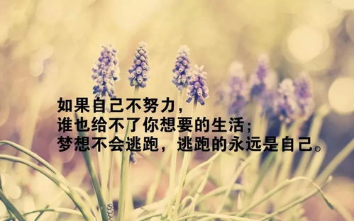陽(yáng)光正能量的說(shuō)說(shuō)唯美句子,早安說(shuō)說(shuō)正能量簡(jiǎn)短唯美句子,晚上說(shuō)說(shuō)正能量簡(jiǎn)短唯美句子
