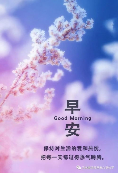 上進,句子,激勵,能量