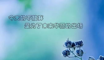 每日早安正能量句子微商,早安勵志正能量的句子,好心態(tài)早安正能量句子