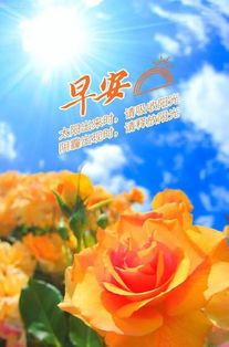 早上晨跑發(fā)句子正能量