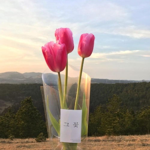 早上發(fā)圈正能量句子護膚品