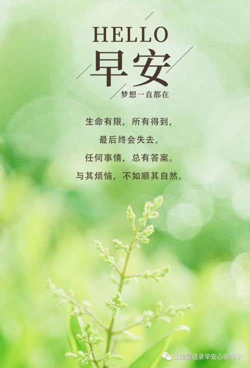 周末愉快的正能量句子,愉快開(kāi)心正能量的句子,關(guān)于堅持的正能量句子