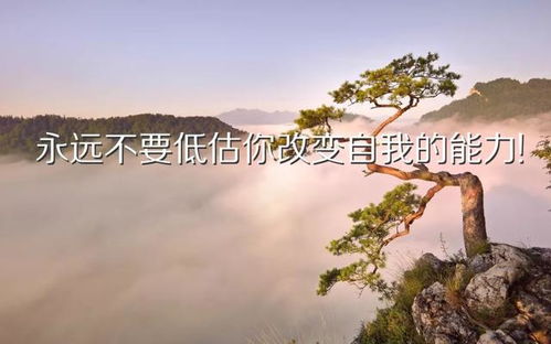 2021正能量的話語(yǔ)短句子
