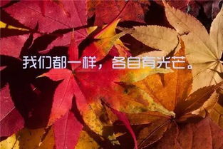 晚安好夢(mèng)的句子,一句話晚安好夢(mèng)的句子,晚安好夢(mèng)的唯美句子