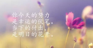 早上正能量滿(mǎn)滿(mǎn)的朋友圈的句子九月