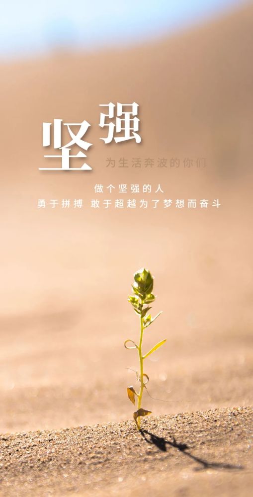 努力的句子經(jīng)典語錄正能量