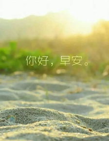 新的一天正能量句子早安勵(lì)志心語(yǔ)大全,新的一天新的開始正能量句子早安,新的一天充滿陽(yáng)光正能量的句子