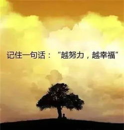 伊斯蘭正能量的句子
