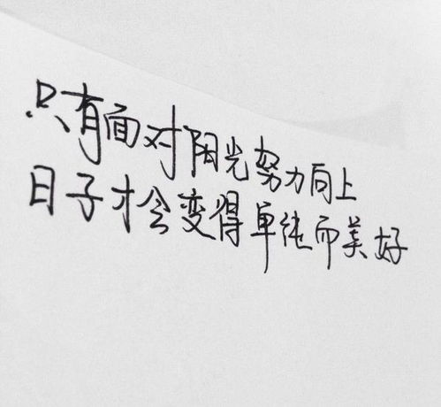 2021正能量奮斗的英語(yǔ)句子