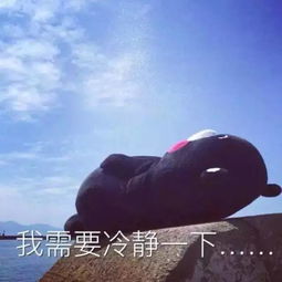 句子,勵(lì)志,能量,團(tuán)隊(duì)