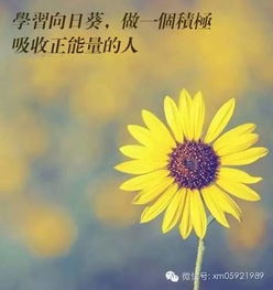 認(rèn)真學(xué)習(xí)正能量句子