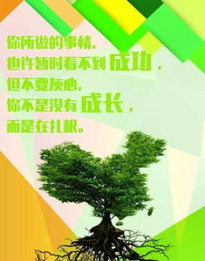 宣揚煤礦企業(yè)正能量的優(yōu)美句子