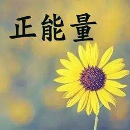 關(guān)于少年夢(mèng)想的句子,少年夢(mèng)想的勵志句子,形容少年夢(mèng)想的句子