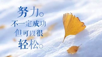 最新早安勵志正能量的句子