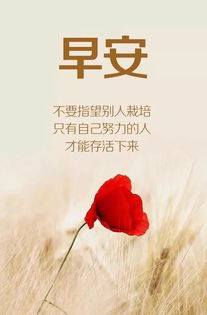 上岸勵志語錄正能量句子