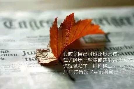 積極向上正能量的句子和,積極向上的正能量的句子,女孩陽(yáng)光正能量的句子積極向上的唯美句子