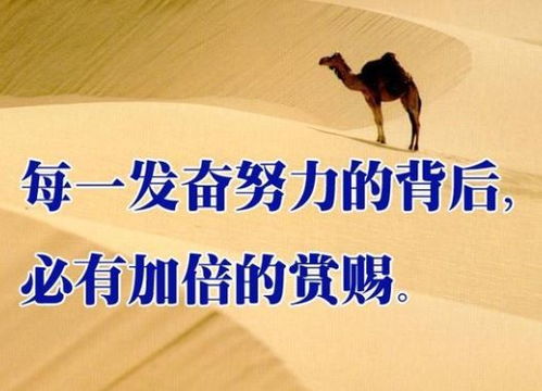 名人名言勵志簡短正能量句子