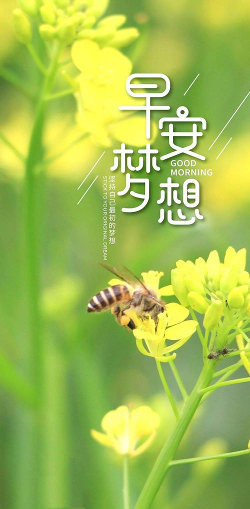 正能量的句子早上好發(fā)明友圈