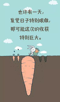 句子,贊美,兔子,能量