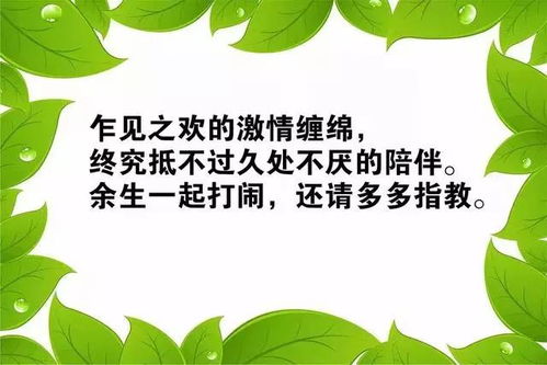 女人正能量創(chuàng)業(yè)的句子經(jīng)典語(yǔ)句