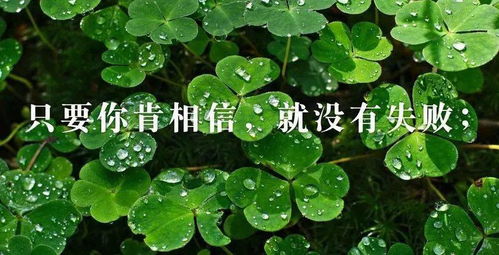微商早上好勵志正能量句子