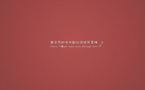 收入微商正能量激勵的句子