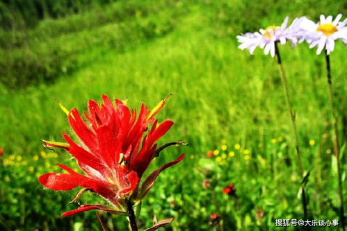 相信平臺(tái)的句子正能量