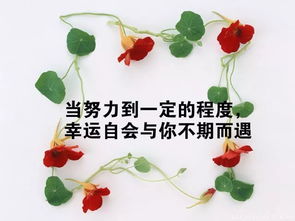 服務(wù)態(tài)度正能量的句子