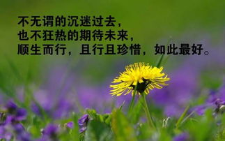 句子,能量,社會(huì )