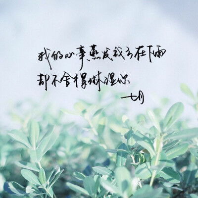陽光正能量唯美句子說說心情