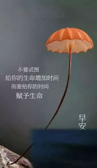 小學生正能量的句子經(jīng)典短句