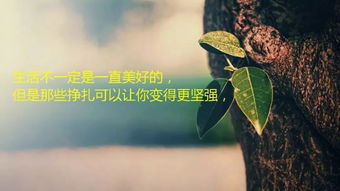句句精辟的正能量句子人生,句句精辟的正能量句子簡短,句句精辟的正能量句子短句