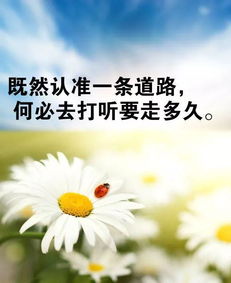 創(chuàng  )業(yè)努力正能量的句子早安句