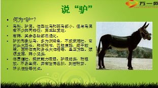 句子,能量,早會(huì)正