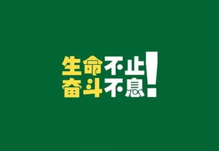 考研正能量的句子經(jīng)典語(yǔ)錄,考研正能量句子鼓勵考研,考研正能量句子簡(jiǎn)短